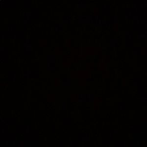 Meet your Posher, Nina